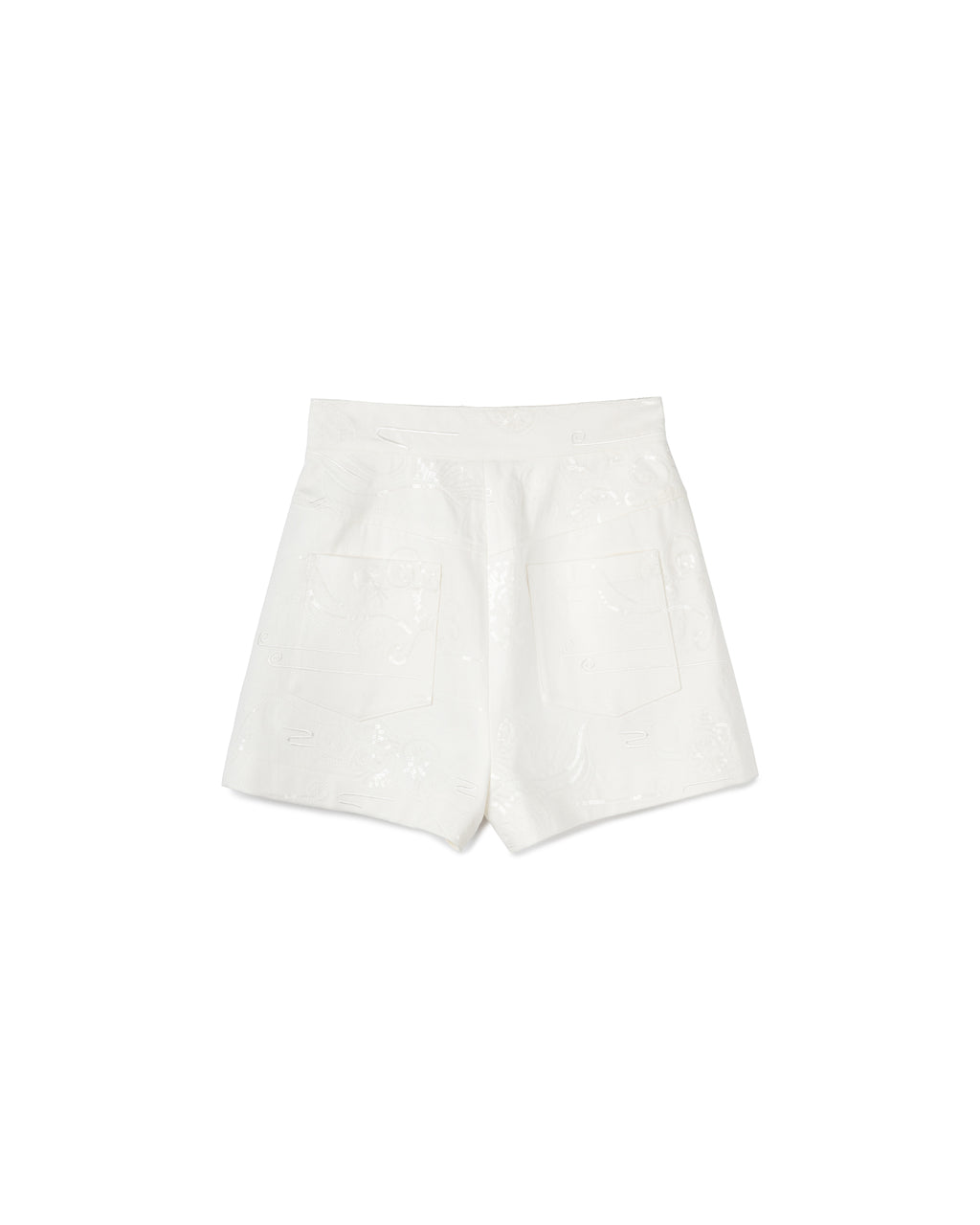 Embroidered Textured Shorts